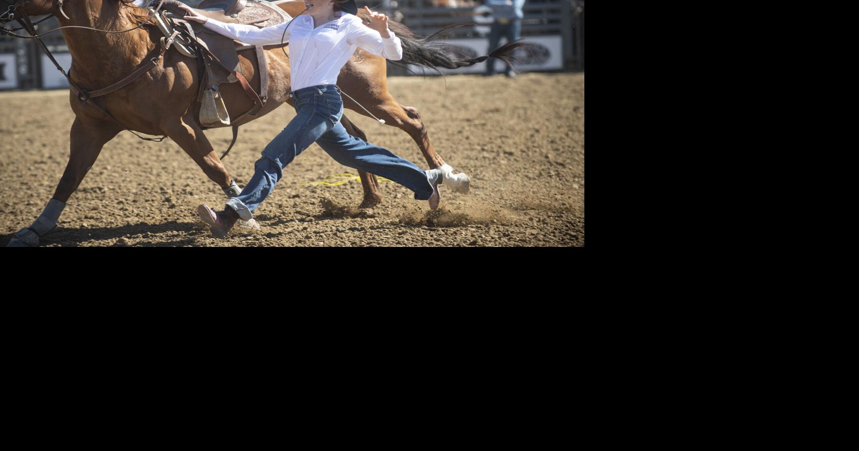 Gillette native, EWC freshman leads region in goat tying ahead of final ...