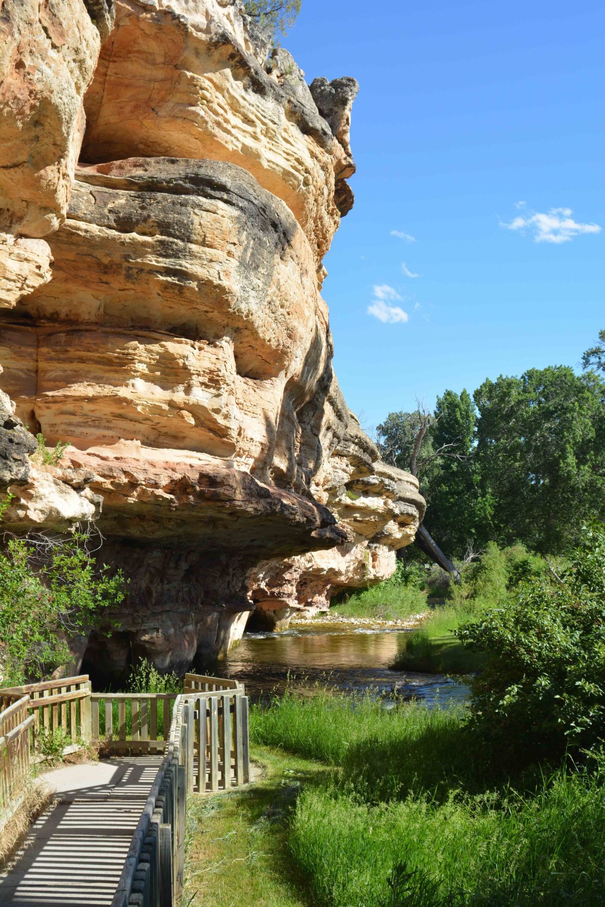 Medicine Creek Cabins