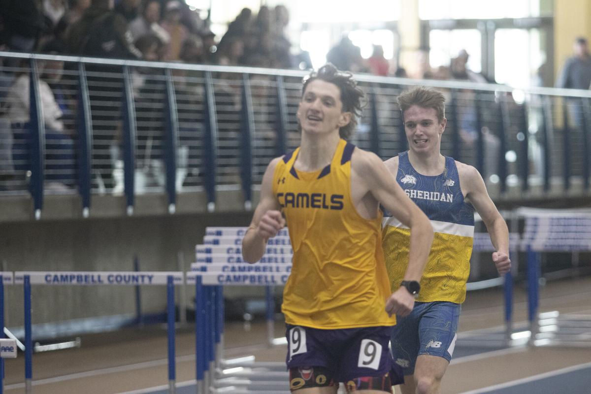 Camels | | gillettenewsrecord.com