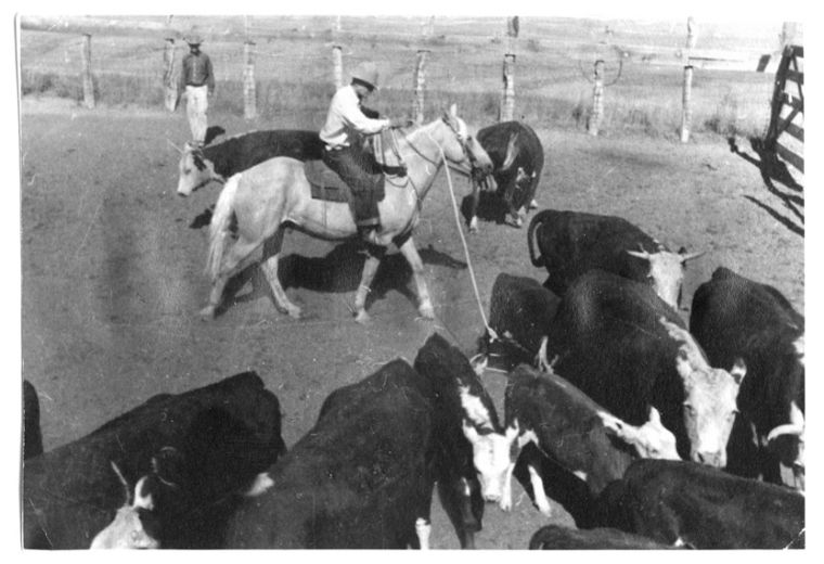 Campbell County’s historic ranches the Barlow Ranch News