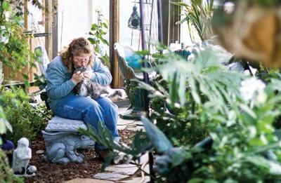 Camelot Pet Castle News Gillettenewsrecord Com