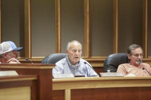 City Council expresses broad support for proposed transparency travel measure