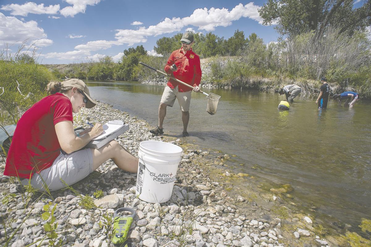 Game and Fish reintroduces mussel species to Platte, Laramie rivers