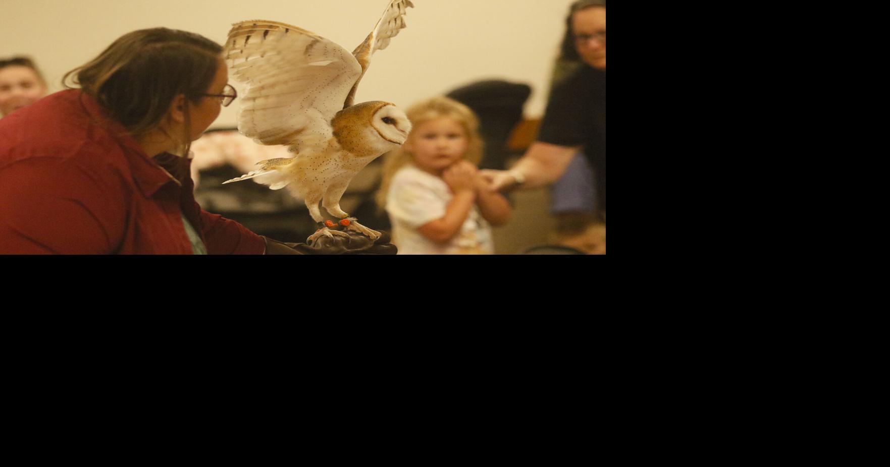 Raptors wow kids at library appearance