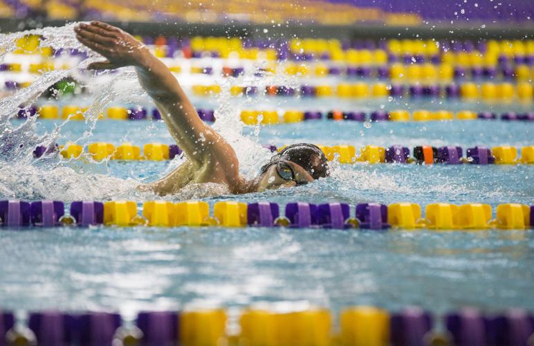 State Swimming Finals
