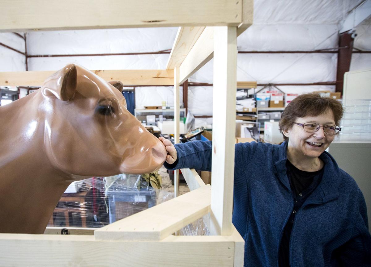 Maggie the Real Milking Cow