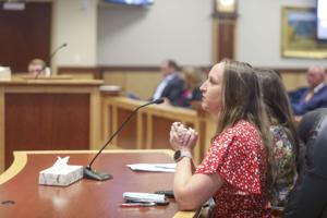 Firm looks to simplify city's ordinances, increase usefulness and accessibility