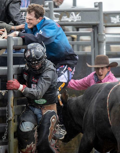 Rodeo gallery