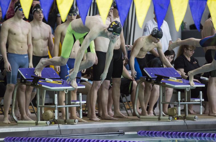 State Swimming Finals