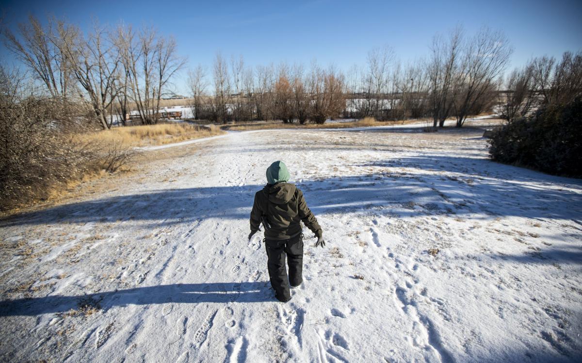 Christmas Bird Count