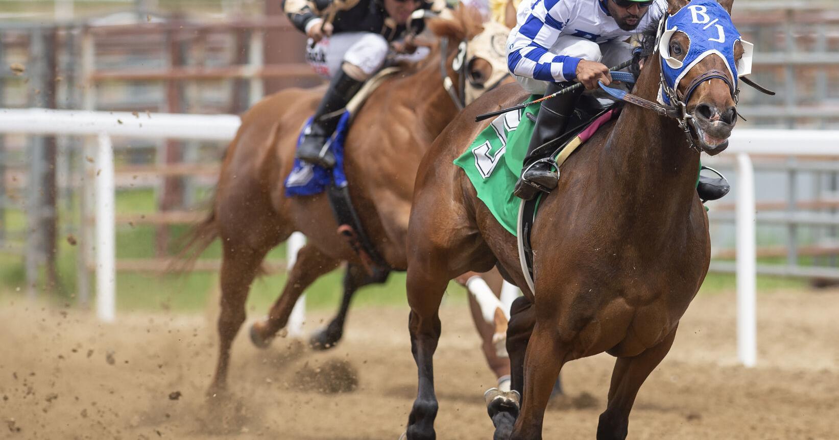 Proposed horse racing at Frontier Park faces backlash - Vimarsana News