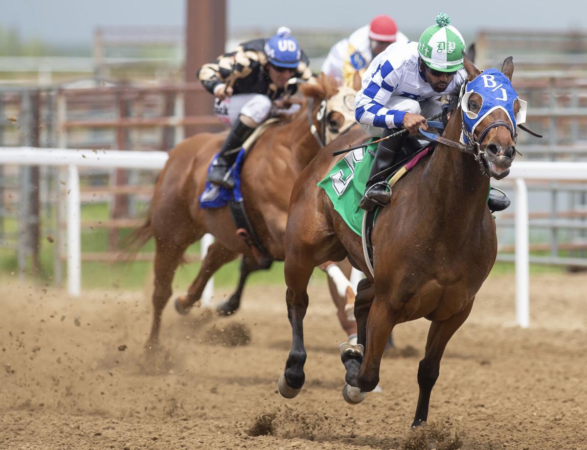 Proposed horse racing at Frontier Park faces backlash | Wyoming |  gillettenewsrecord.com