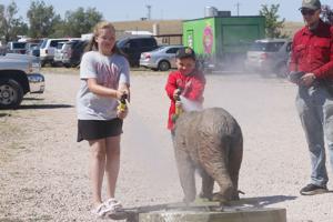 Kids learn archery, trap shooting and more at Wyoming Sportsman's Group's annual family fun day
