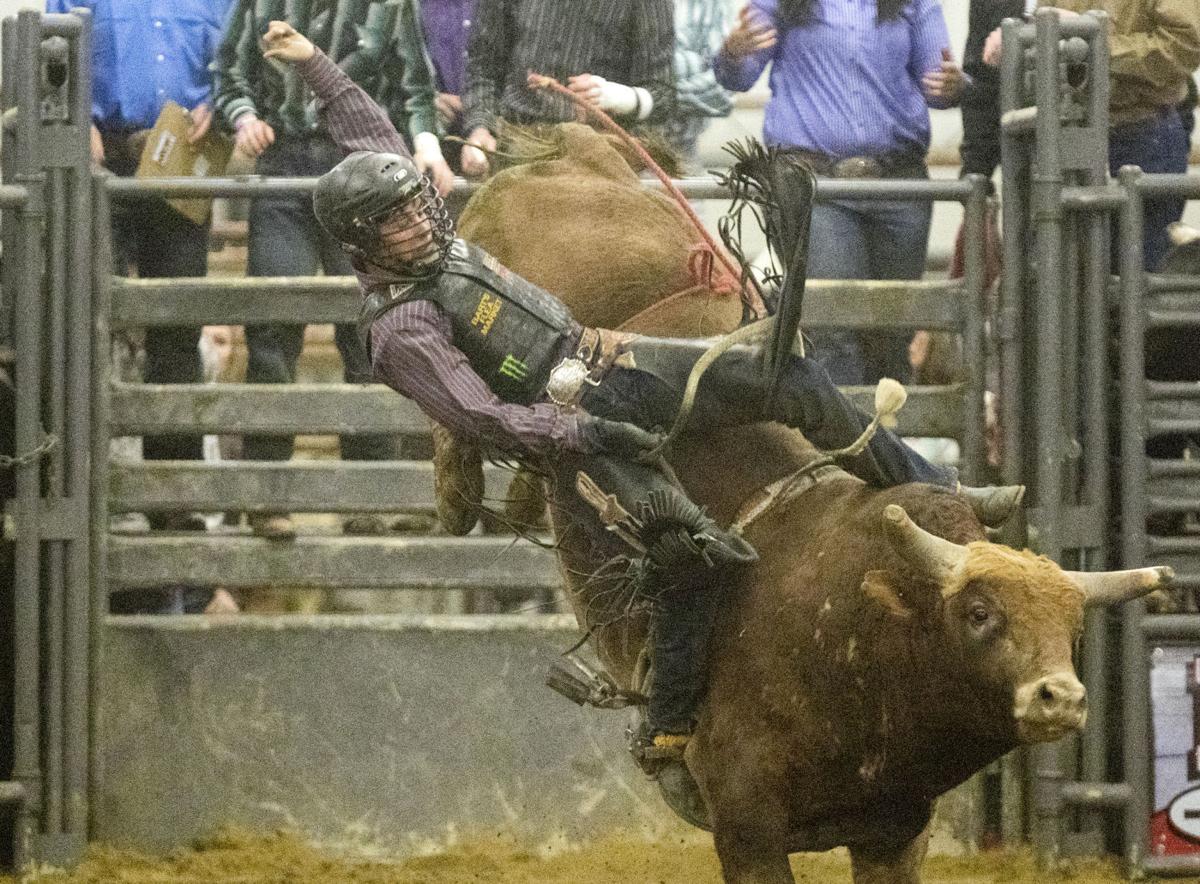 Bull Bash draws big crowd Rodeo