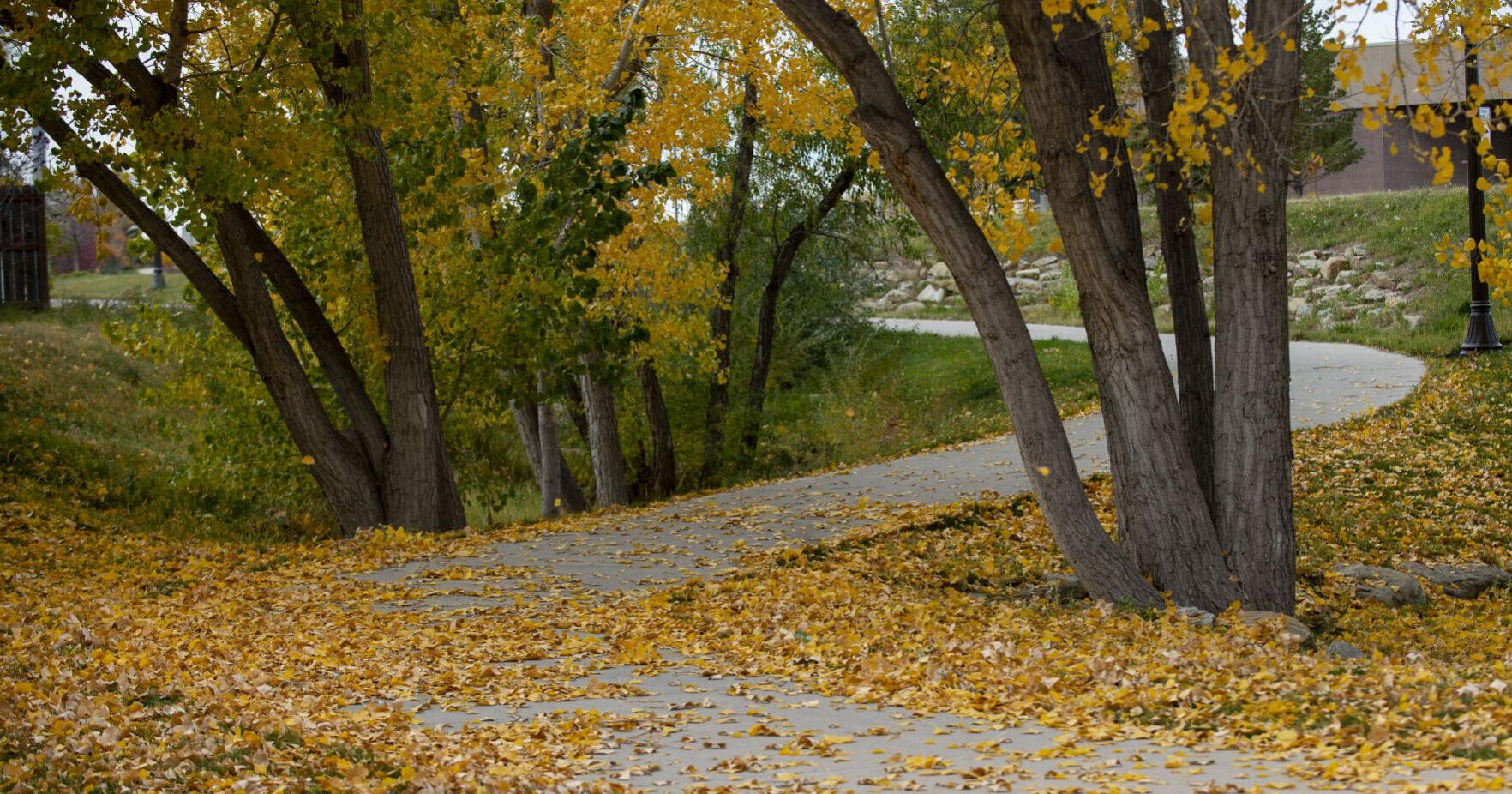 City looking at doing comprehensive master plan - Vimarsana News