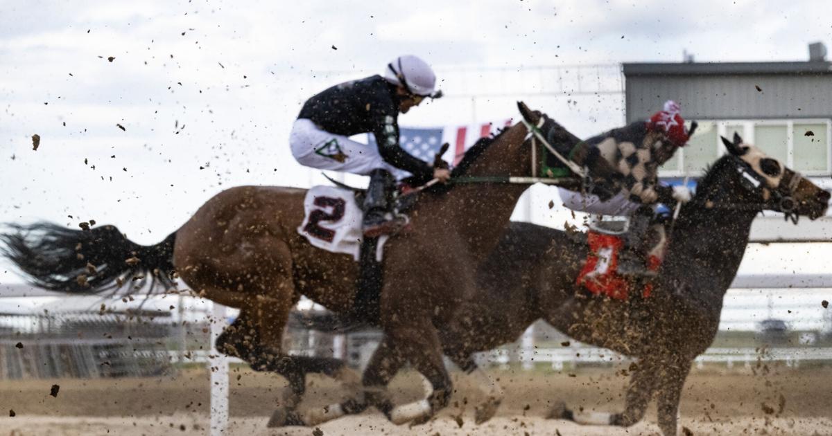 Live horse racing includes bronc riding event | Local News ...