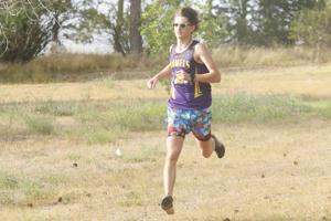 Experience and youth to fuel CCHS cross country this season