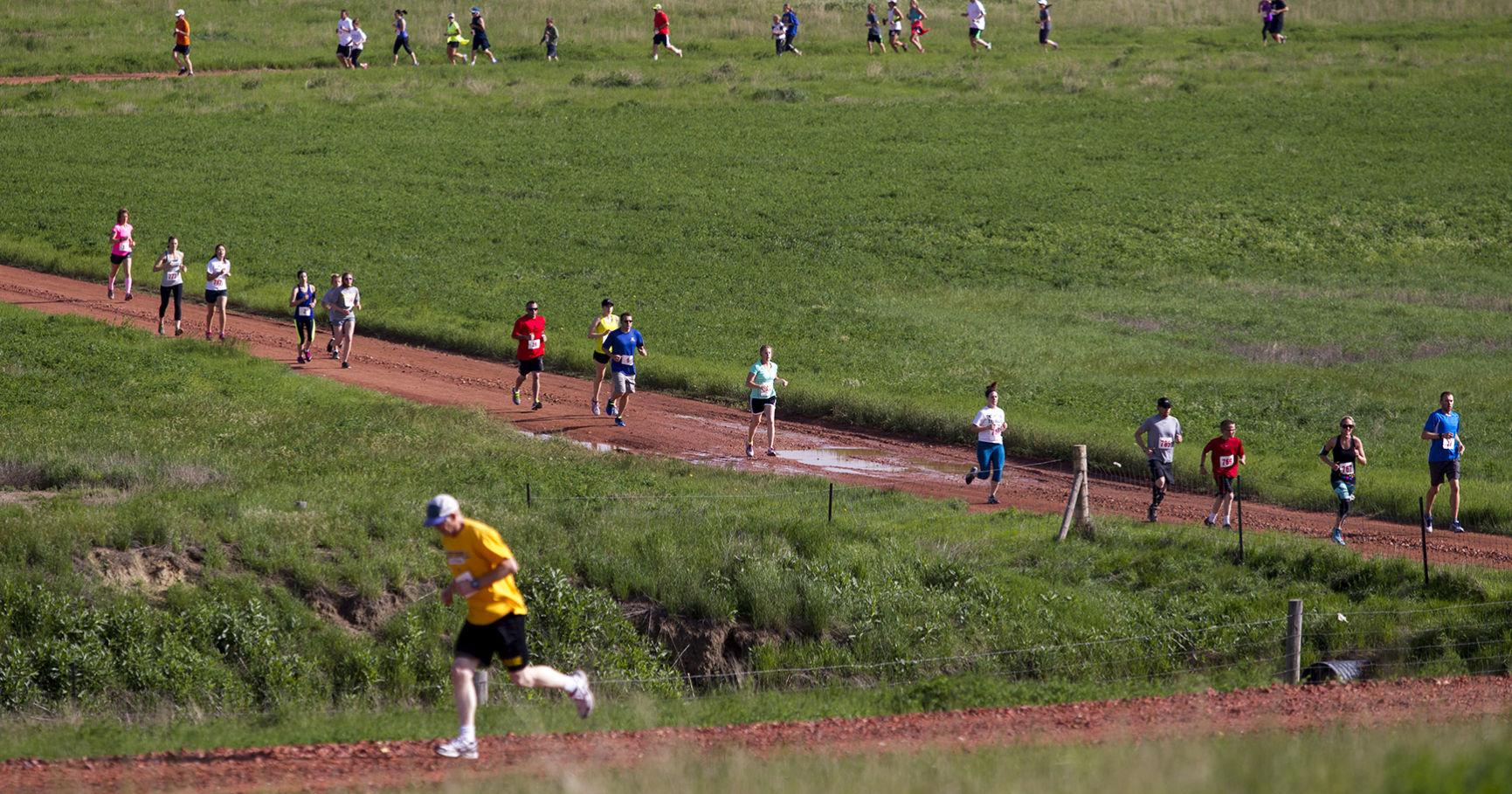 Buffalo Stampede set for Saturday - Vimarsana News