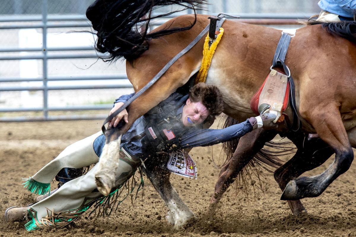 This thing called rodeo