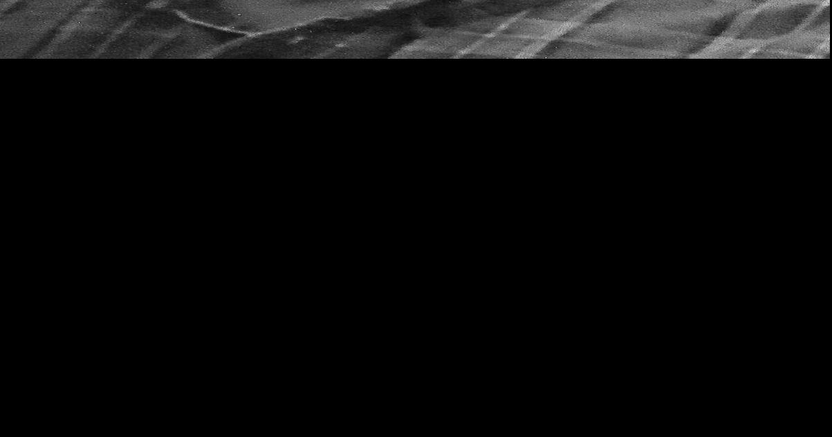 Mandeville Obituaries