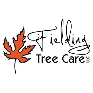 Fielding Tree Care Warns Colorado Homeowners as Peak IPS Beetle Activity Threatens Pine Trees