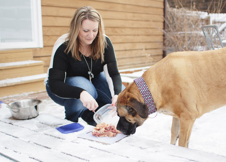 postknight pets feeding.