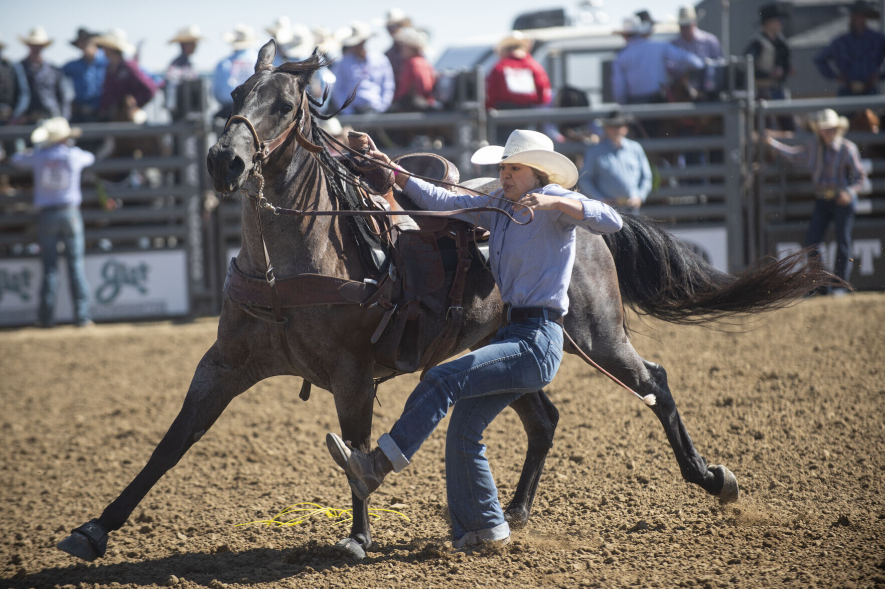 NHSFR results First round recap Nhsfr gillettenewsrecord