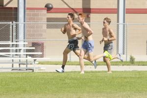 Bolts cross country could have its best season yet