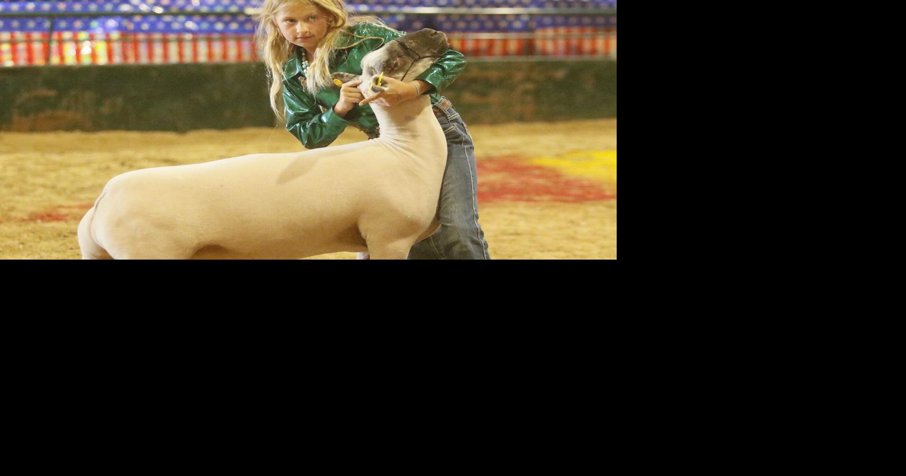 Results from the 2026 Campbell County Fair