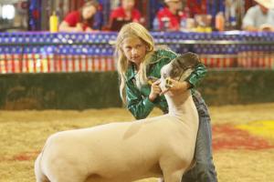 Results from the 2026 Campbell County Fair