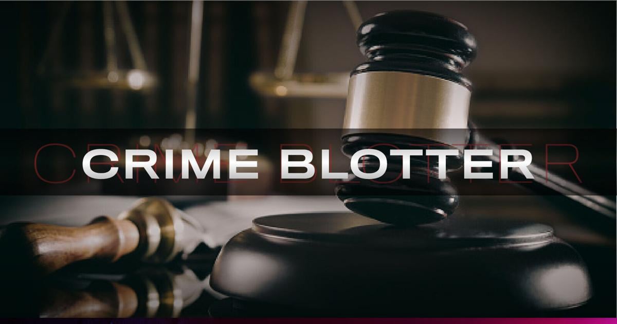 Blotter: Animal Control takes dog into protective custody after welfare check