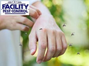 Facility Pest Control Highlights the Vital Importance of Year-Round Pest Management in Van Nuys, CA