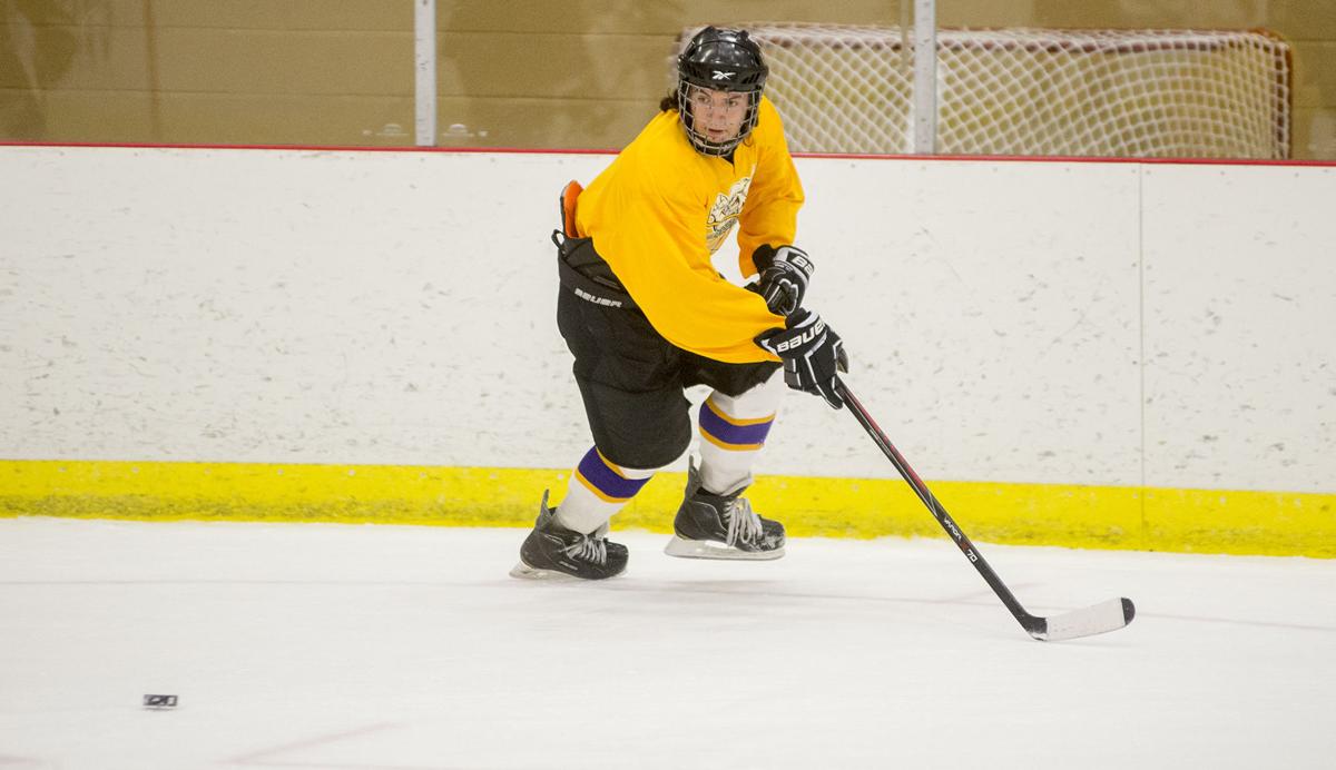 High school hockey team looks to take advantage of home ice Wild