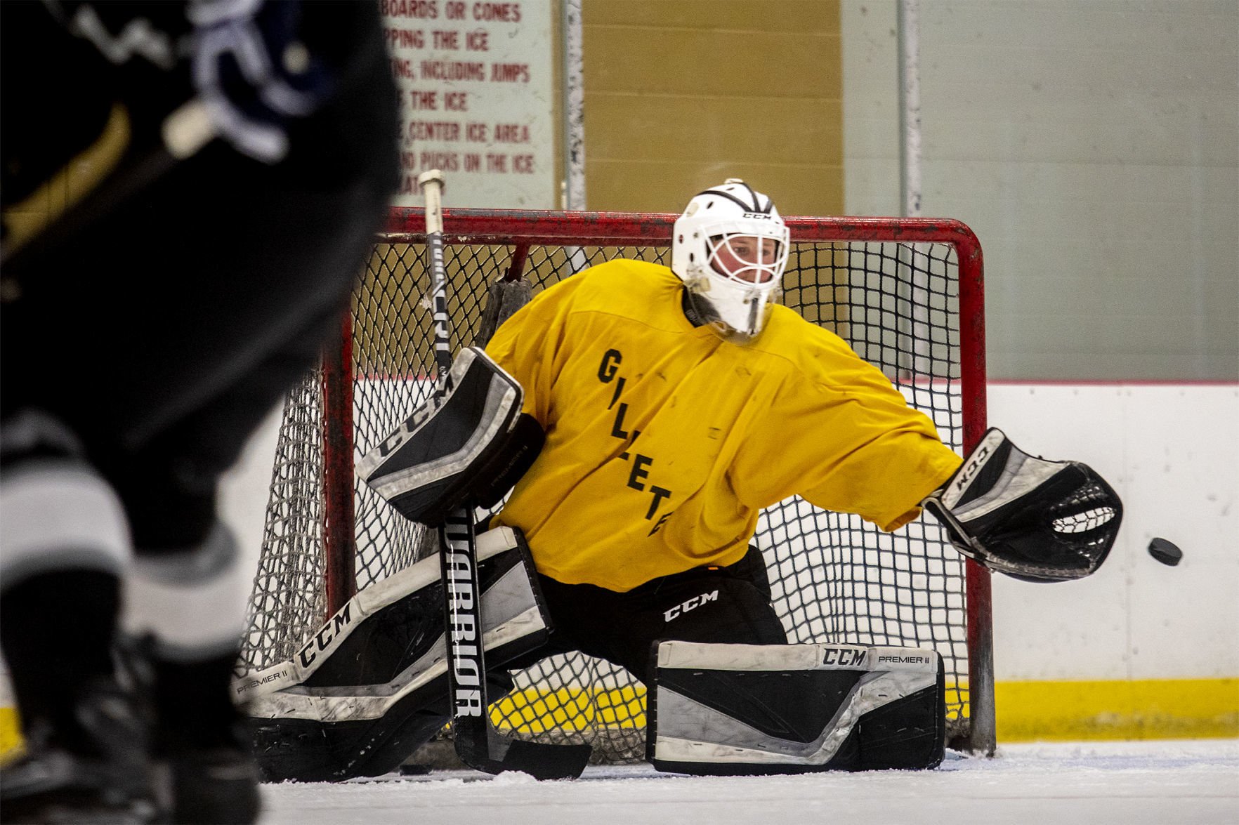 top swedish amateur hockey players 2019