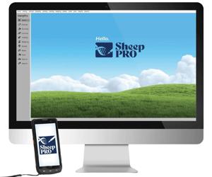 Paragon Adds Ramstrong Equipment and SheepPro to Ephrata Lineup