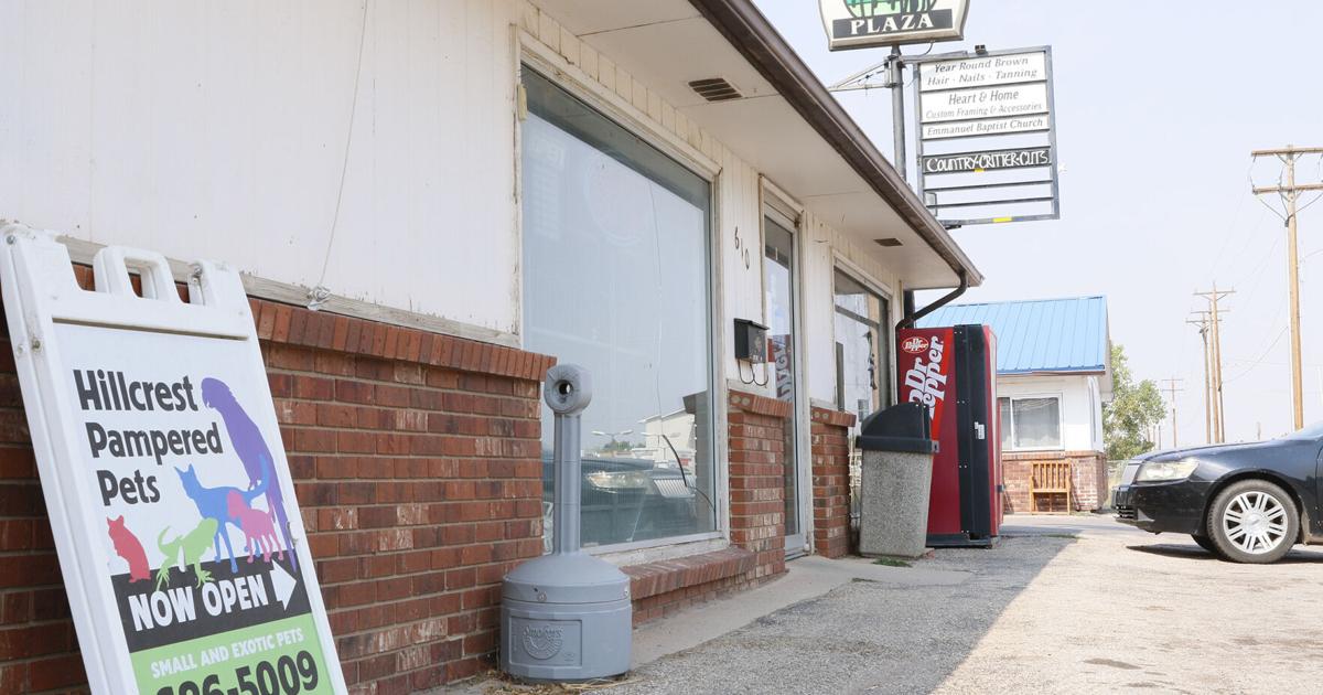 Despite eight years of complaints, Hillcrest Pampered Pets stays open | Local News Despite eight years of complaints, Hillcrest Pampered Pets stays open | Local News