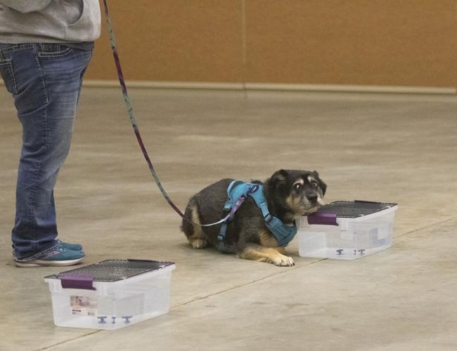 Hosting a Scebt Trial: Ultimate Guide to Boost Your Sales Fast 2 Hosting a Scebt Trial: Ultimate Guide to Boost Your Sales Fast