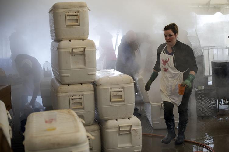 From brawl to boil Crawfish Boil simmers into 40year tradition