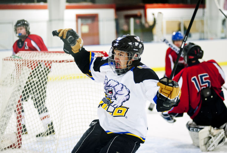 A Wild win and a tie Wild Hockey