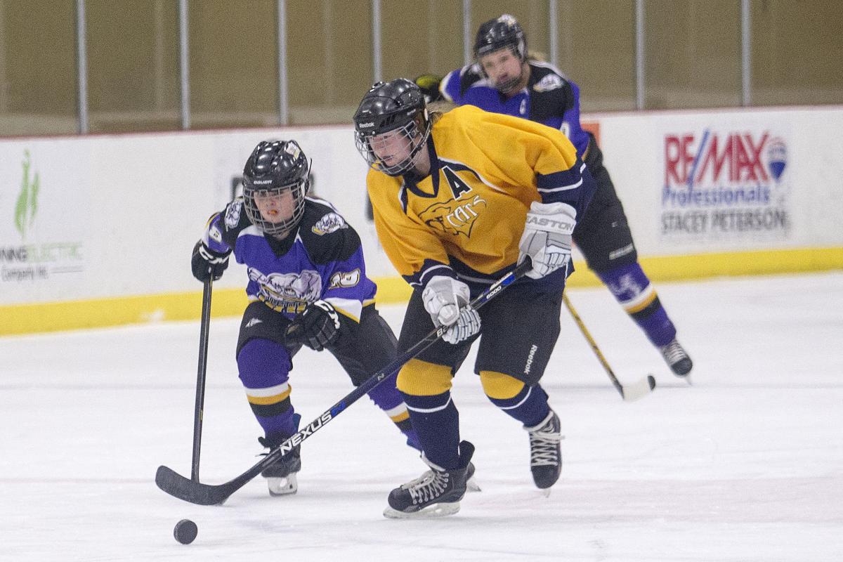 Wild 19U girls swept by Park County | Wild Hockey | gillettenewsrecord.com