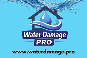 Water Damage Pro Opens in Roseville, CA, Providing 24/7 Water Damage Restoration and Mold Remediation