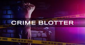 Blotter: Group reported by neighbors for shooting pigeons with shotguns
