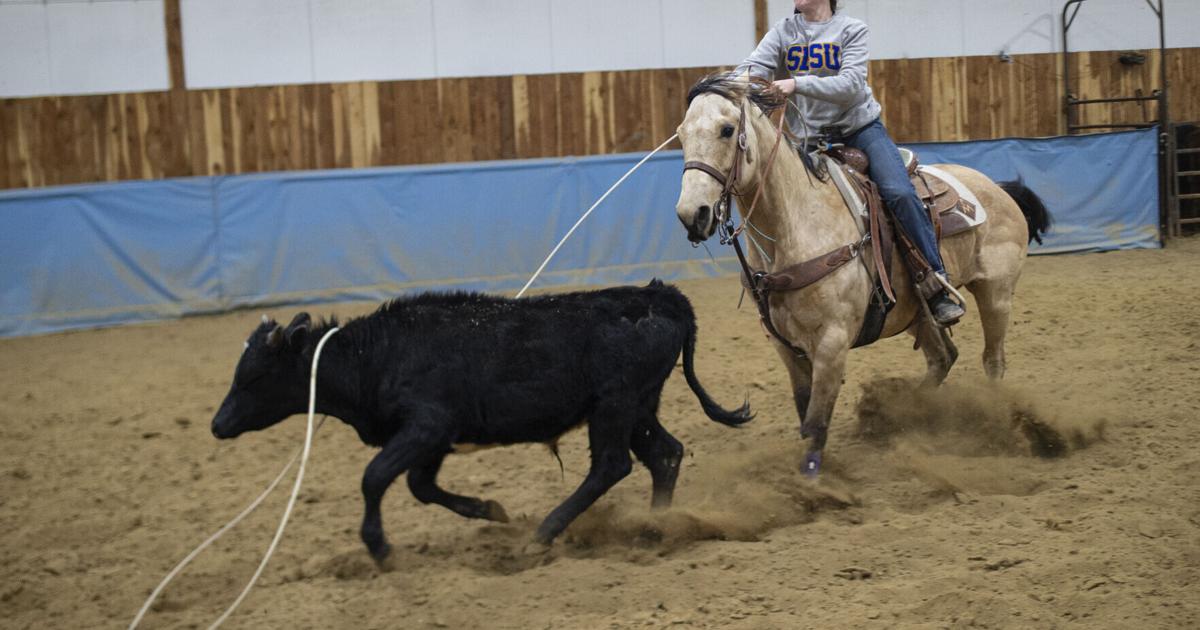 Rob Summers Rodeo First summer rodeo night is at Cam-plex | Local News ...