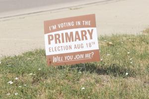 So many choices: Voters have plenty of candidates to pick from this primary