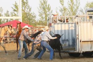 Ranch Rodeo teams thrill county fair crowd