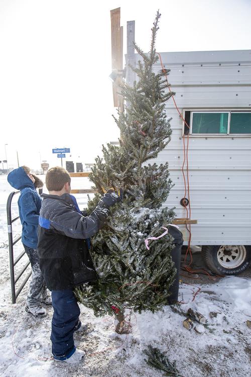Boy Scouts Christmas trees