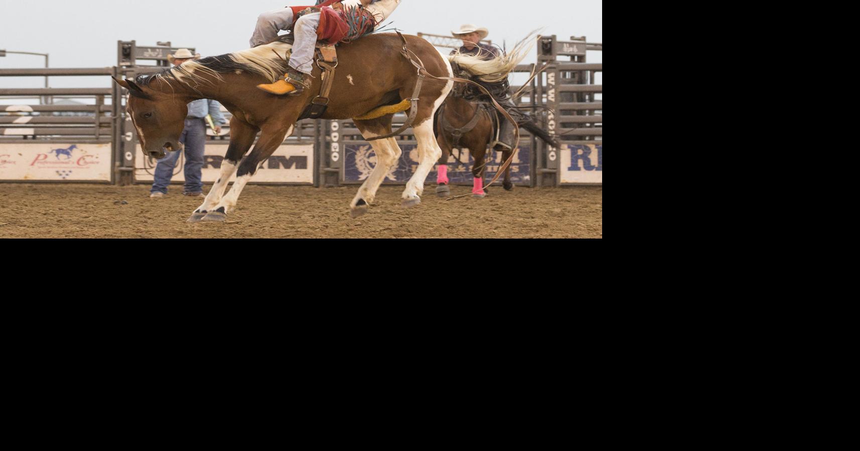 Rourke Ranch wins Ranch Rodeo at Campbell County Fair | Sports ...