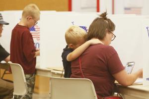 Primary election results certified, recount of House District 52 race finds no changes
