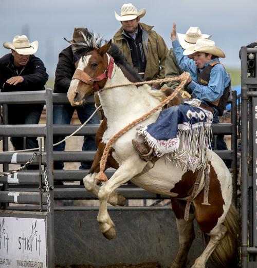 This thing called rodeo
