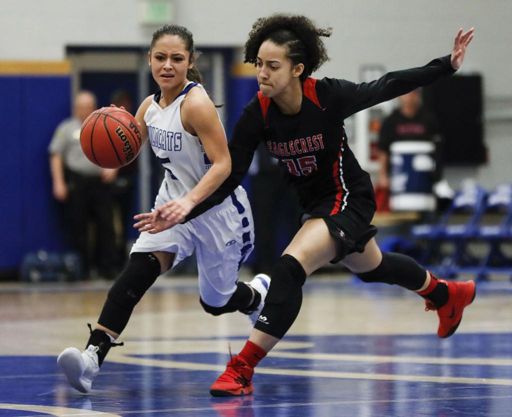 Free Throw Fun High Schools Gjsentinel Com